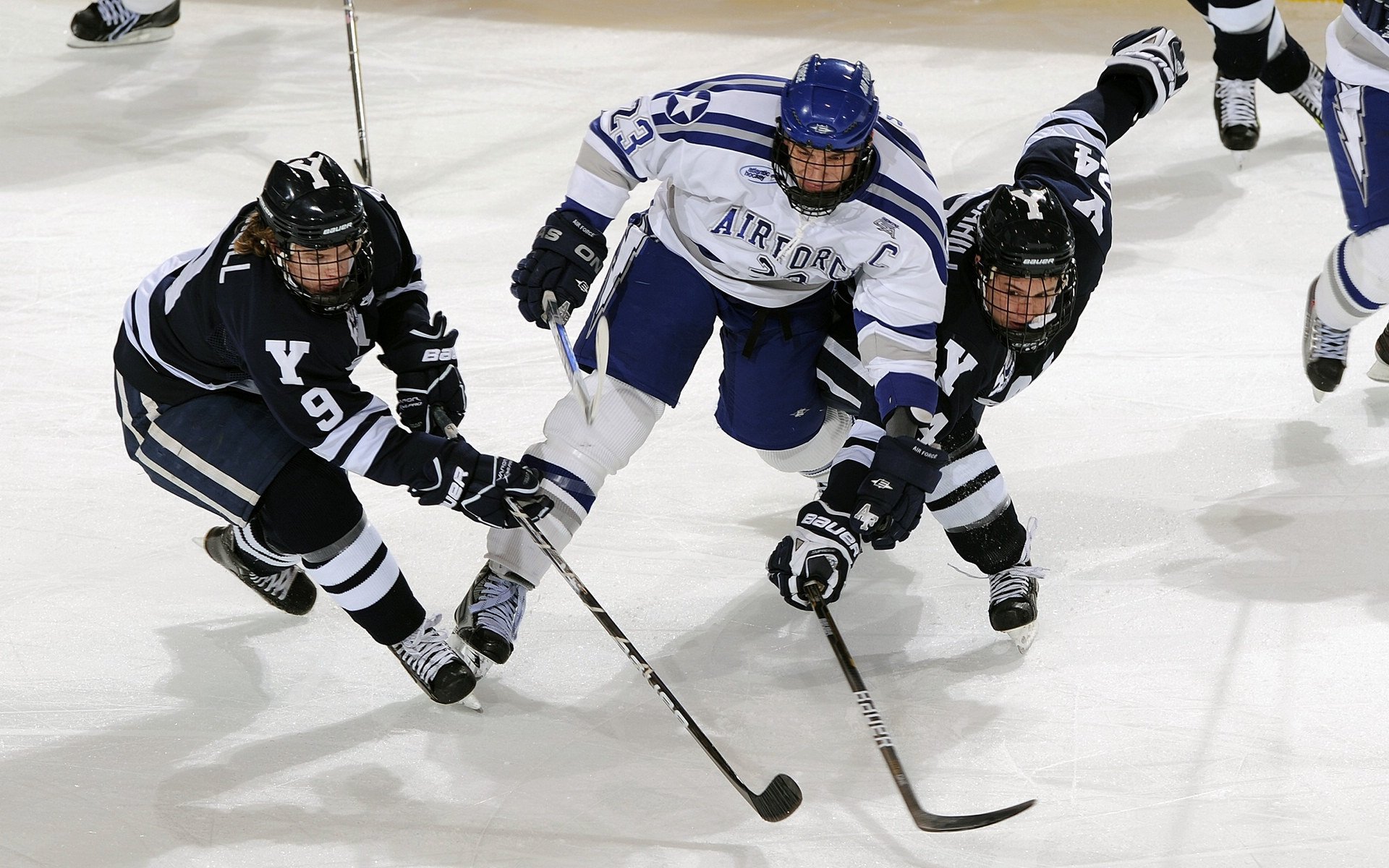 _极地冰川徒步:感受大自然的震撼_,极地冰川主要在南极还是北极